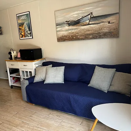 Maisonnette Au Calme, T3, 6 Pers Avec Piscine Et Wifi Privee Proche Et Ocean Soustons